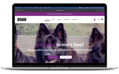 What makes a good website?