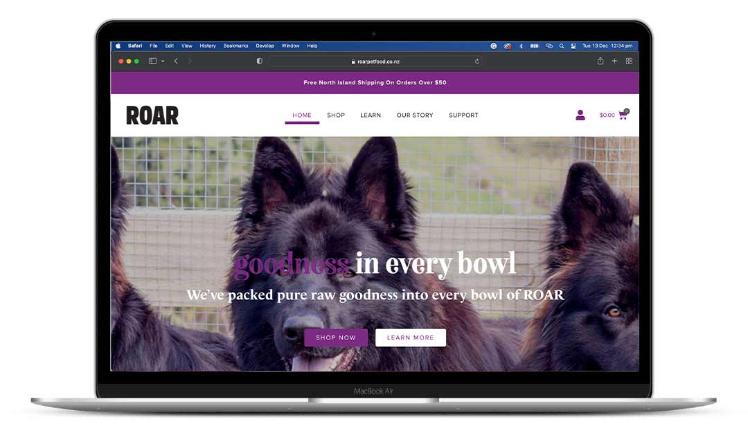 What makes a good website?