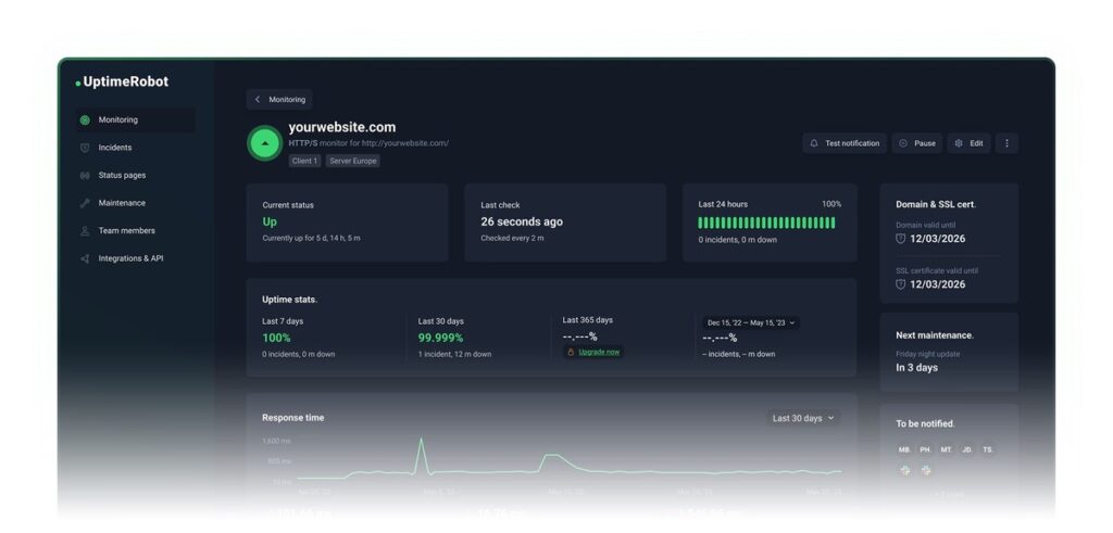 how to check why your website is down